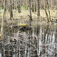 23-03-13 13-44-32 4857